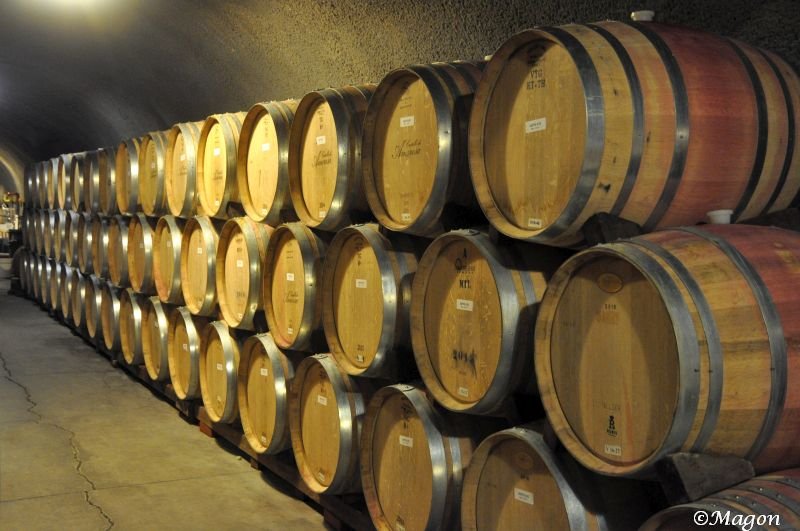 Castello Di Amorosa: ряды дубовых бочек в подземном погребе